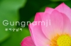 "&tImgAltTitle&"