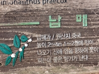 "&tImgAltTitle&"